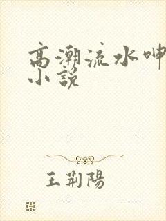 高潮流水呻吟h小说