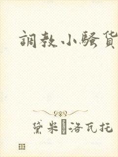 调教小骚货h