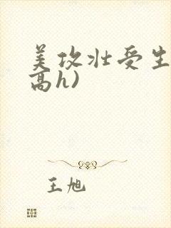美攻壮受生子(高h)封面