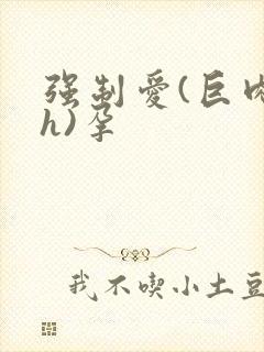 强制爱(巨肉高h)孕