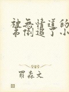 被无情道的小师弟倒追了小说免费阅读封面