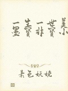 一生一世美人骨墨宝非宝小说在线封面