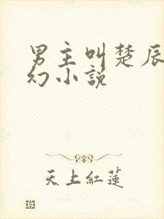 男主叫楚辰的玄幻小说