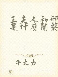 王夫人和邢夫人是什么关系