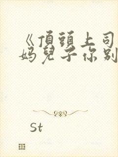 《顶头上司变后妈儿子你别懵》封面