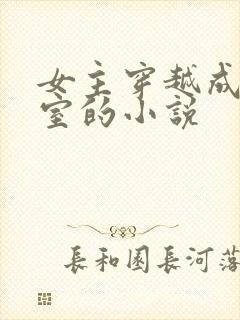 女主穿越成了外室的小说