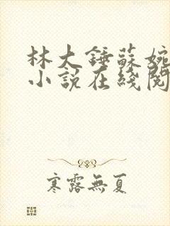 林大锤苏婉清的小说在线阅读