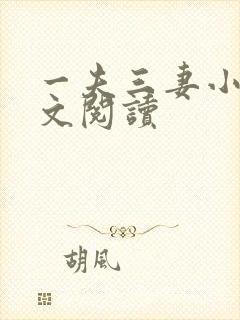 一夫三妻小说全文阅读