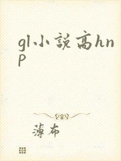 gl小说高hnp封面
