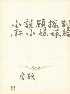 小说顾总别虐了,许小姐嫁给你哥了