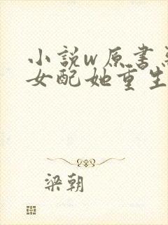 小说w原书恶毒女配她重生了,封面