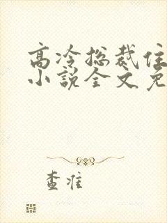 高冷总裁住隔壁小说全文免费阅读封面