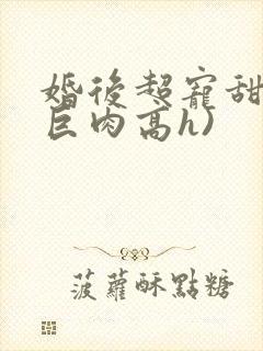 婚后超宠甜文(巨肉高h)