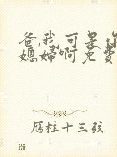 爸,我可是你儿媳妇啊免费阅读封面