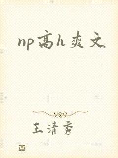 np高h爽文
