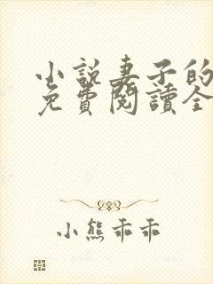 小说妻子的秘密免费阅读全文