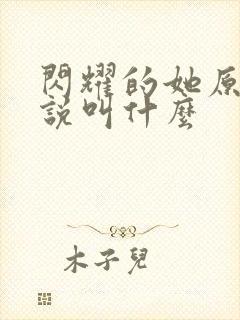 闪耀的她原著小说叫什么