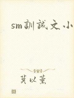 sm训诫文小说