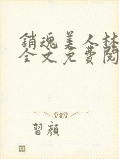 销魂美人林婷婉全文免费阅读小说