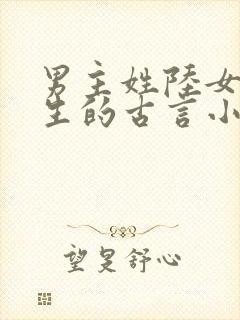 男主姓陆女主重生的古言小说封面