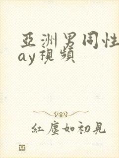 亚洲男同性恋gay视频封面