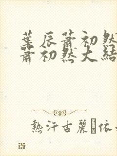 叶辰萧初然叶辰萧初然大结局封面