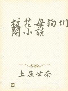 校花母狗们笔趣阁小说