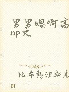 男男嗯啊高h黄np文