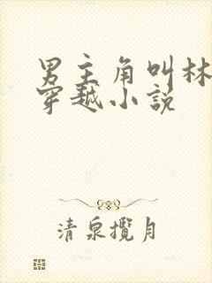 男主角叫林凡的穿越小说