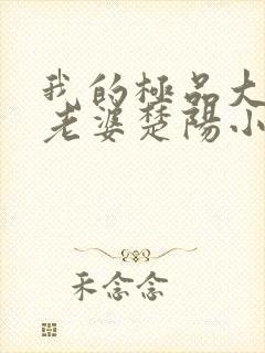 我的极品大小姐老婆楚阳小说阅读