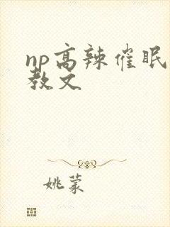 np高辣催眠调教文