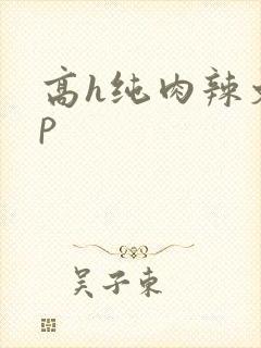 高h纯肉辣文np