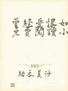 曾经爱恨如碎梦免费阅读小说