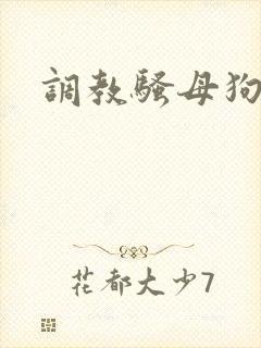 调教骚母狗h
