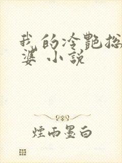 我的冷艳总裁老婆 小说封面