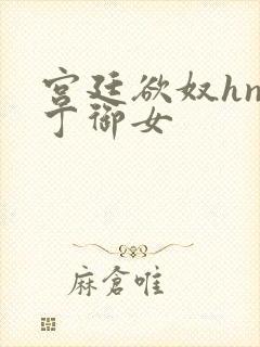 宫廷欲奴hnp丁御女封面