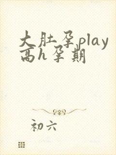 大肚孕play高h孕期