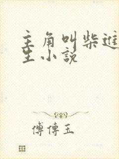 主角叫柴进的重生小说