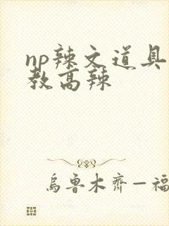 np辣文道具调教高辣