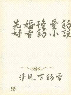 先婚后爱的言情好看的小说推荐