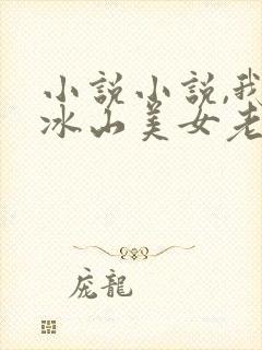 小说小说,我的冰山美女老婆