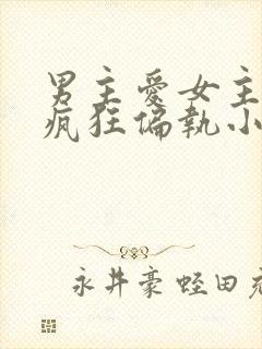 男主爱女主爱到疯狂偏执小说