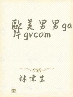 欧美男男gay片gvcom封面