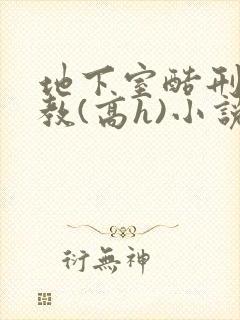 地下室酷刑性调教(高h)小说