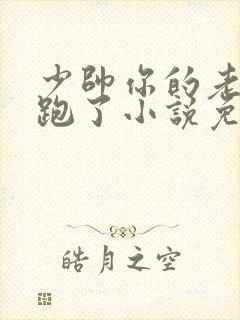 少帅你的老婆又跑了小说免费阅读