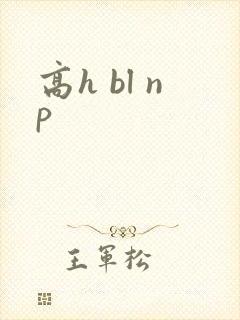 高h bl np封面