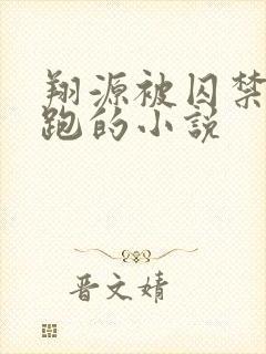 翔源被囚禁后逃跑的小说