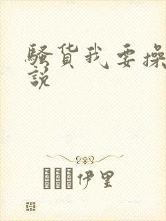 骚货我要操你小说