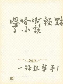 嗯哈啊轻点太快了小说