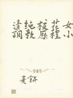 清纯校花女友的调教历程小说